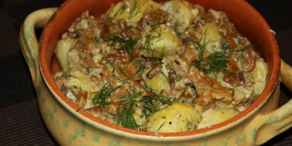 Лисички в сметане - рецепты приготовления с мясом, картошкой и сыром на сковороде или в духовке