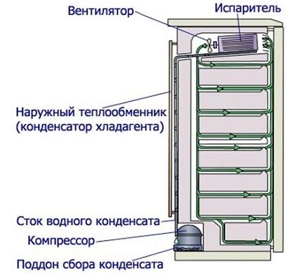 Холодильники Dexp: обзор модельного ряда + сравнение с другими марками на рынке